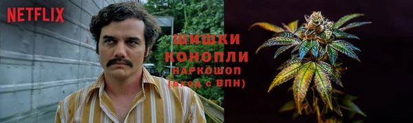 амф Белокуриха