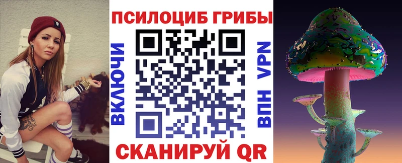 darknet клад  Будённовск  Псилоцибиновые грибы ЛСД 